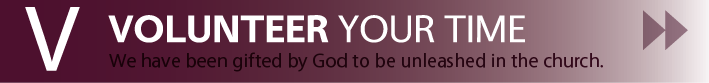 VOLUNTEERbannerfinal